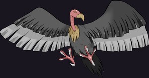 於峽谷築巢的怪鳥