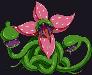 混沌花